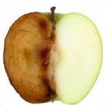 oxidized-apple